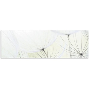 Küchenrückwand ARTLAND Pusteblumen-Samen aufgehellt Spritzschutzwände Gr. B/H: 160 cm x 50 cm, grün Küchendekoration