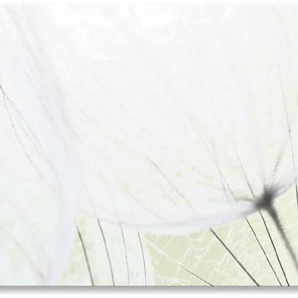 Küchenrückwand ARTLAND Pusteblumen-Samen aufgehellt Spritzschutzwände Gr. B/H: 160 cm x 60 cm, grün Küchendekoration Alu Spritzschutz mit Klebeband, einfache Montage