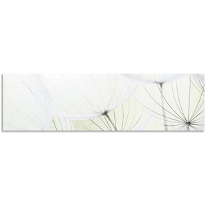 Küchenrückwand ARTLAND Pusteblumen-Samen aufgehellt Spritzschutzwände Gr. B/H: 180 cm x 50 cm, grün Küchendekoration