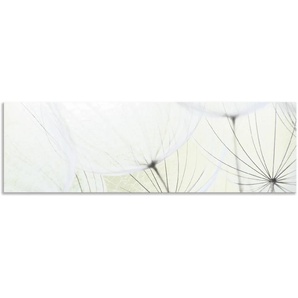 Küchenrückwand ARTLAND Pusteblumen-Samen aufgehellt Spritzschutzwände Gr. B/H: 180 cm x 55 cm, grün Küchendekoration