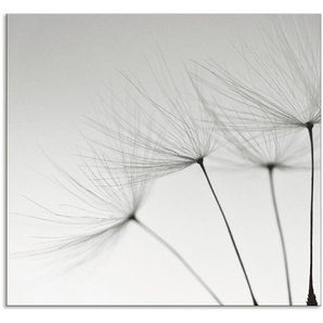 Küchenrückwand ARTLAND Pusteblumen-Samen I Spritzschutzwände Gr. B/H: 70 cm x 65 cm, grau Küchendekoration