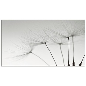Küchenrückwand ARTLAND Pusteblumen-Samen I Spritzschutzwände Gr. B/H: 90 cm x 50 cm, grau Küchendekoration