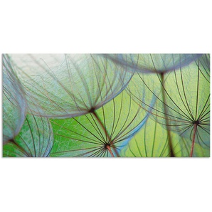 Küchenrückwand ARTLAND Pusteblumen-Samen II Spritzschutzwände Gr. B/H: 100 cm x 50 cm, grün Küchendekoration