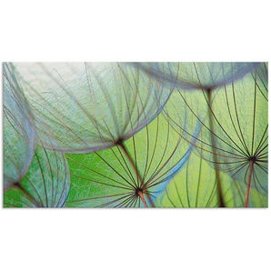 Küchenrückwand ARTLAND Pusteblumen-Samen II Spritzschutzwände Gr. B/H: 100 cm x 55 cm, grün Küchendekoration