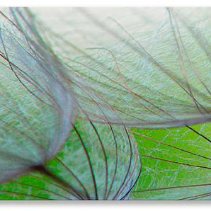Küchenrückwand ARTLAND Pusteblumen-Samen II Spritzschutzwände Gr. B/H: 180 cm x 50 cm, grün Küchendekoration Alu Spritzschutz mit Klebeband, einfache Montage
