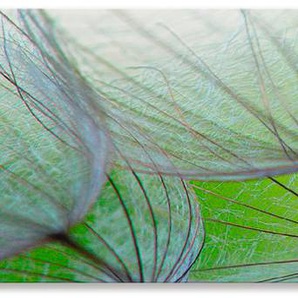 Küchenrückwand ARTLAND Pusteblumen-Samen II Spritzschutzwände Gr. B/H: 180 cm x 50 cm, grün Küchendekoration