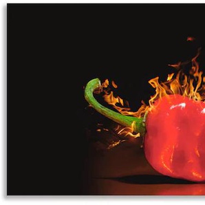 Küchenrückwand ARTLAND Roter scharfer Chilipfeffer Spritzschutzwände Gr. B/H: 150 cm x 50 cm, rot Küchendekoration Alu Spritzschutz mit Klebeband, einfache Montage