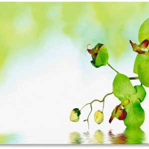 Küchenrückwand ARTLAND Schöne Orchidee mit grünem Hintergrund Spritzschutzwände Gr. B/H: 140 cmx65 cm, grün Küchendekoration Spritzschutzwände Alu Spritzschutz mit Klebeband, einfache Montage