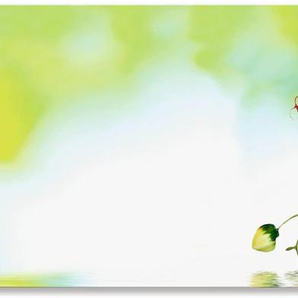 Küchenrückwand ARTLAND Schöne Orchidee mit grünem Hintergrund Spritzschutzwände Gr. B/H: 150 cmx50 cm, grün Küchendekoration Spritzschutzwände Alu Spritzschutz mit Klebeband, einfache Montage