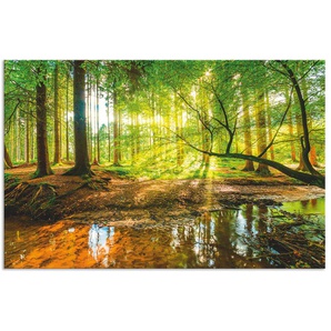 Küchenrückwand ARTLAND Wald mit Bach Spritzschutzwände Gr. B/H: 100 cm x 65 cm, grün Küchendekoration