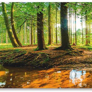 Küchenrückwand ARTLAND Wald mit Bach Spritzschutzwände Gr. B/H: 160 cm x 50 cm, grün Küchendekoration