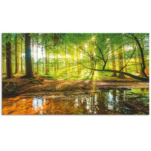 Küchenrückwand ARTLAND Wald mit Bach Spritzschutzwände Gr. B/H: 90 cm x 50 cm, grün Küchendekoration