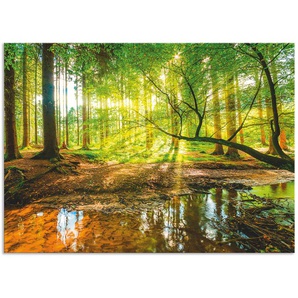 Küchenrückwand ARTLAND Wald mit Bach Spritzschutzwände Gr. B/H: 90 cm x 65 cm, grün Küchendekoration