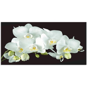 Küchenrückwand ARTLAND Weiße Orchidee auf schwarzem Hintergrund Spritzschutzwände Gr. B/H: 110 cm x 55 cm, weiß Küchendekoration Alu Spritzschutz mit Klebeband, einfache Montage