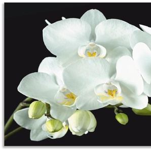 Küchenrückwand ARTLAND Weiße Orchidee auf schwarzem Hintergrund Spritzschutzwände Gr. B/H: 130 cmx65 cm, weiß Küchendekoration Spritzschutzwände Alu Spritzschutz mit Klebeband, einfache Montage