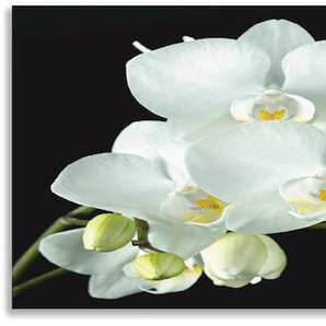 Küchenrückwand ARTLAND Weiße Orchidee auf schwarzem Hintergrund Spritzschutzwände Gr. B/H: 160 cm x 50 cm, weiß Küchendekoration Alu Spritzschutz mit Klebeband, einfache Montage