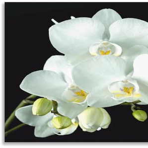 Küchenrückwand ARTLAND Weiße Orchidee auf schwarzem Hintergrund Spritzschutzwände Gr. B/H: 160 cm x 60 cm, weiß Küchendekoration Alu Spritzschutz mit Klebeband, einfache Montage