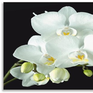 Küchenrückwand ARTLAND Weiße Orchidee auf schwarzem Hintergrund Spritzschutzwände Gr. B/H: 170 cm x 60 cm, weiß Küchendekoration Alu Spritzschutz mit Klebeband, einfache Montage