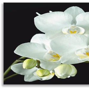Küchenrückwand ARTLAND Weiße Orchidee auf schwarzem Hintergrund Spritzschutzwände Gr. B/H: 180 cmx50 cm, weiß Küchendekoration Spritzschutzwände Alu Spritzschutz mit Klebeband, einfache Montage