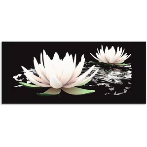 Küchenrückwand ARTLAND Zwei Lotusblumen auf dem Wasser Spritzschutzwände Gr. B/H: 130 cmx55 cm, schwarz Küchendekoration Spritzschutzwände Alu Spritzschutz mit Klebeband, einfache Montage