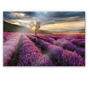 Küchenrückwand WALL-ART Lavendel Blumen in der Provence Spritzschutzwände Gr. B/H: 80 cm x 60 cm, bunt Küchendekoration Herd Waschbecken Wandschutz