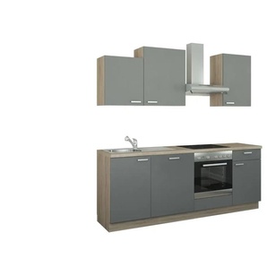 Küchenzeile mit Elektrogeräten  Erfurt ¦ grau ¦ Maße (cm): B: 220 H: 222 T: 60.0