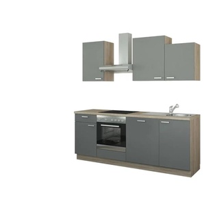 Küchenzeile mit Elektrogeräten  Erfurt ¦ grau ¦ Maße (cm): B: 220 H: 222 T: 60.0