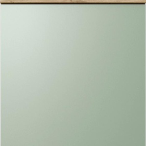 Kühlumbauschrank FLEX-WELL Cara Schränke Gr. B/H/T: 60 cm x 160,6 cm x 60 cm, 2 St., schilfgrün, artisan eiche Kühlschrankumbauschränke (B x H T) 60 161 cm, in Highboardhöhe