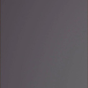 Kühlumbauschrank HELD MÖBEL Riesa Schränke Gr. B/H/T: 60 cm x 200 cm x 60 cm, grau (matt grau) Kühlschrankumbauschränke Breite 60 cm, MDF-Fronten