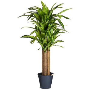 Kunstpflanze Dracaena 155 cm