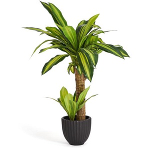 Kunstpflanze Dracaena  80 cm