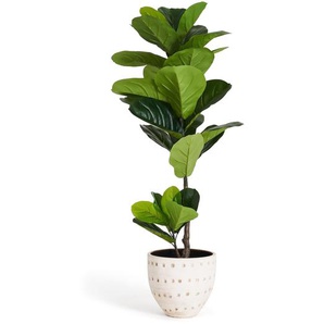 Kunstpflanze Ficus 90 cm