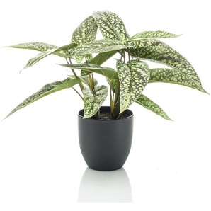 Künstliche Maranta Calathea Dots 38 cm im Topf Emerald