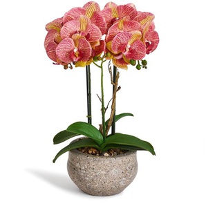 Kunstpflanze Orange Orchidee Phalaenopsis 42 cm