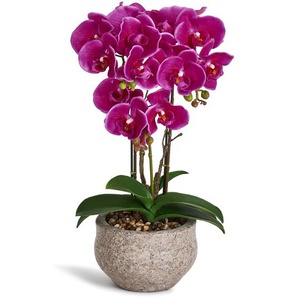 Kunstpflanze Violett Orchidee Phalaenopsis 42 cm