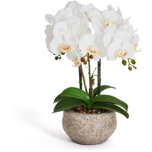 Kunstpflanze Weiß Orchidee Phalaenopsis 42 cm