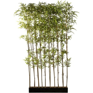 Künstliche Zimmerpflanze Bambusraumteiler Bambus, Creativ green, Höhe 200 cm, im Holzkasten