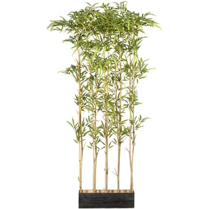 Künstliche Zimmerpflanze CREATIV GREEN Bambusraumteiler Kunstpflanzen Gr. H: 160 cm, 1 St., grün Künstliche Zimmerpflanzen
