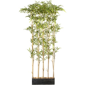 Künstliche Zimmerpflanze CREATIV GREEN Bambusraumteiler Kunstpflanzen Gr. H: 160 cm, 1 St., grün Künstliche Zimmerpflanzen im Holzkasten