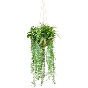 Künstliche Zimmerpflanze CREATIV GREEN Dekokugel zum Hängen Kunstpflanzen Gr. Ø/H: 30 cm x 80 cm, 1 St., grün Künstliche Zimmerpflanze Zimmerpflanzen
