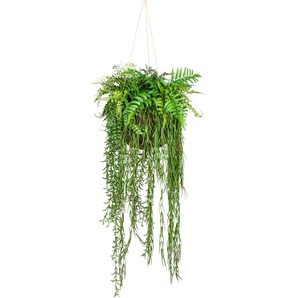 Künstliche Zimmerpflanze CREATIV GREEN Dekokugel zum Hängen Kunstpflanzen Gr. Ø/H: 40 cm x 120 cm, 1 St., grün Künstliche Zimmerpflanze Zimmerpflanzen
