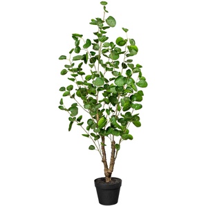 Künstliche Zimmerpflanze CREATIV GREEN Fiederaralie Kunstpflanzen Gr. H: 110 cm, 1 St., grün Künstliche Zimmerpflanzen