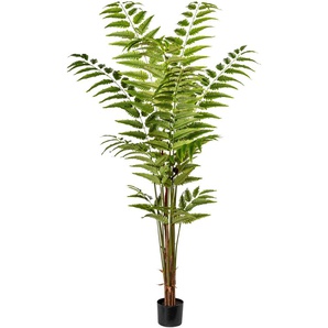 Künstliche Zimmerpflanze CREATIV GREEN Lederfarnpflanze Kunstpflanzen Gr. H: 180 cm, 1 St., grün Künstliche Zimmerpflanzen