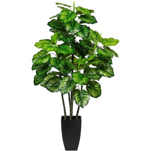 Künstliche Zimmerpflanze CREATIV GREEN Maranta Kunstpflanzen Gr. H: 105 cm, 1 St., grün Künstliche Zimmerpflanzen
