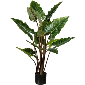 Künstliche Zimmerpflanze CREATIV GREEN Taropflanze Kunstpflanzen Gr. H: 140 cm, 1 St., grün Künstliche Zimmerpflanzen