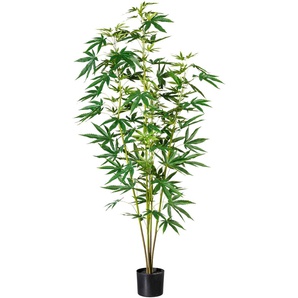 Künstliche Zimmerpflanze CREATIV GREEN Zierhanfpflanze Kunstpflanzen Gr. H: 150 cm, 1 St., grün Künstliche Zimmerpflanzen