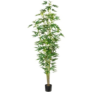 Künstliche Zimmerpflanze CREATIV GREEN Zierhanfpflanze Kunstpflanzen Gr. H: 210 cm, 1 St., grün Künstliche Zimmerpflanzen