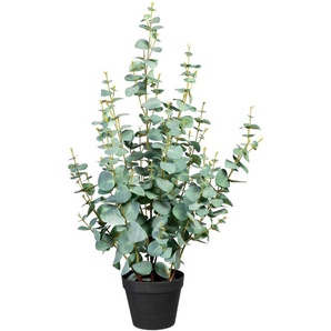 Künstliche Zimmerpflanze Eukalypthus Eukalypthus, Creativ green, Höhe 80 cm
