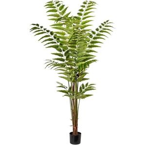 Künstliche Zimmerpflanze Lederfarnpflanze Farn, Creativ green, Höhe 180 cm