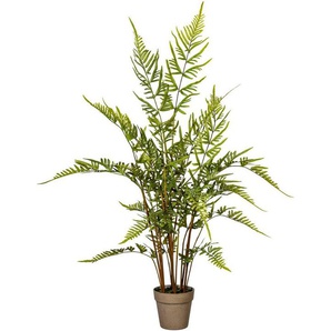 Künstliche Zimmerpflanze Rippenfarn Farn, Creativ green, Höhe 110 cm